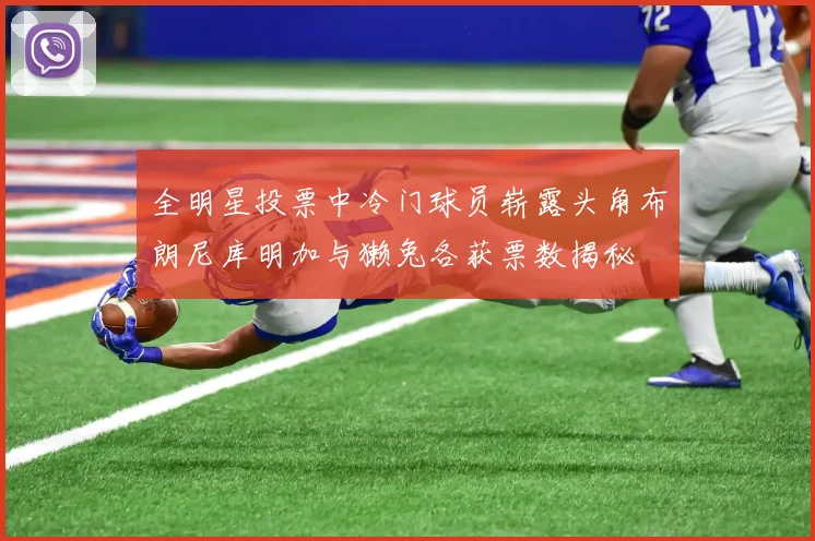全明星投票中冷门球员崭露头角布朗尼库明加与獭兔各获票数揭秘