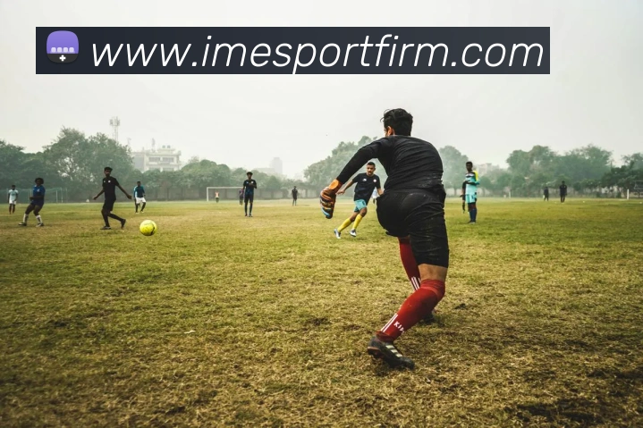 IM电竞平台生态图