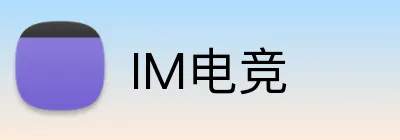 IM电竞 Logo